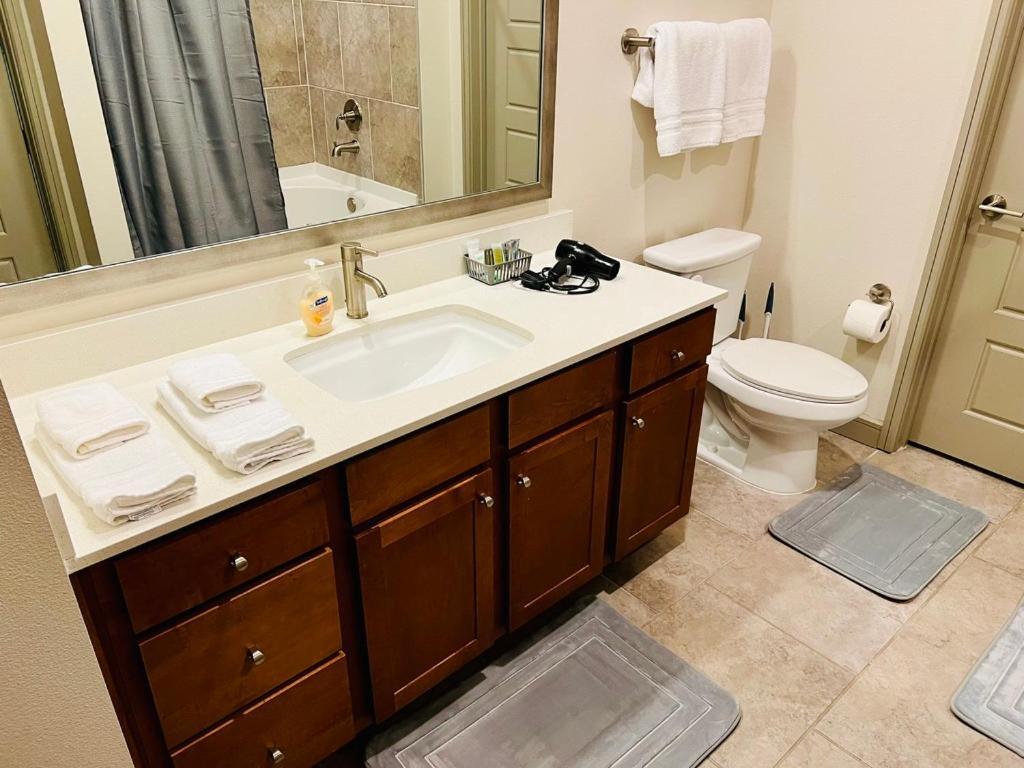 Downtown Apart 1 Bed 1 Bath Free Parking Apartment Houston Bagian luar foto